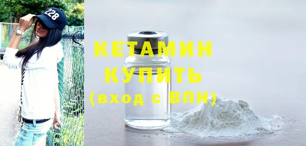 сатива Новозыбков