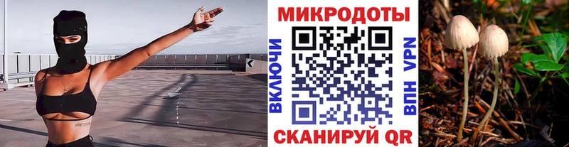 закладка  Ядрин  ссылка на мегу ссылка  Галлюциногенные грибы Cubensis 