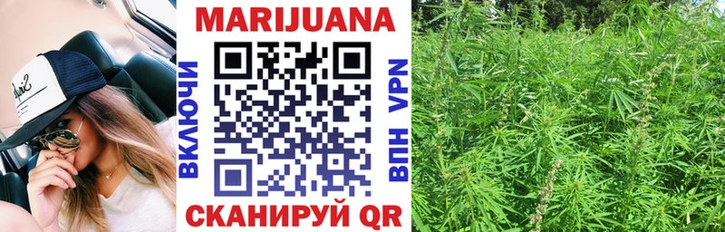 Каннабис SATIVA & INDICA  omg зеркало  Ядрин 